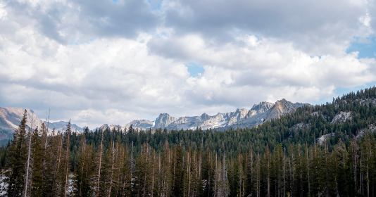 紳士漫畫：探索成人漫畫的魅力與文化意義