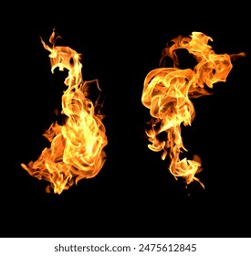 红杏网免费：畅享无门槛的优质内容与服务体验